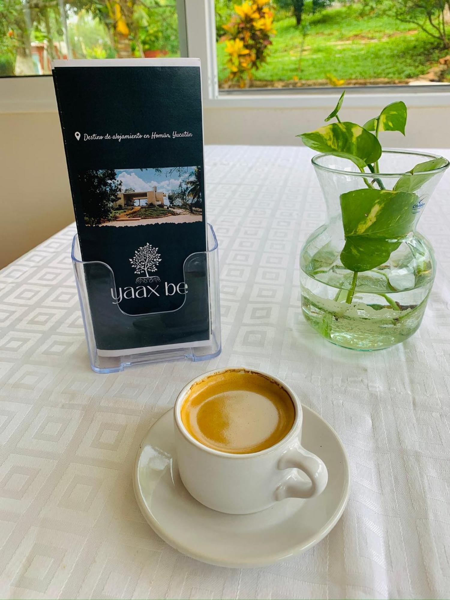 Quinta Yaaxbe Villa Homun Bagian luar foto