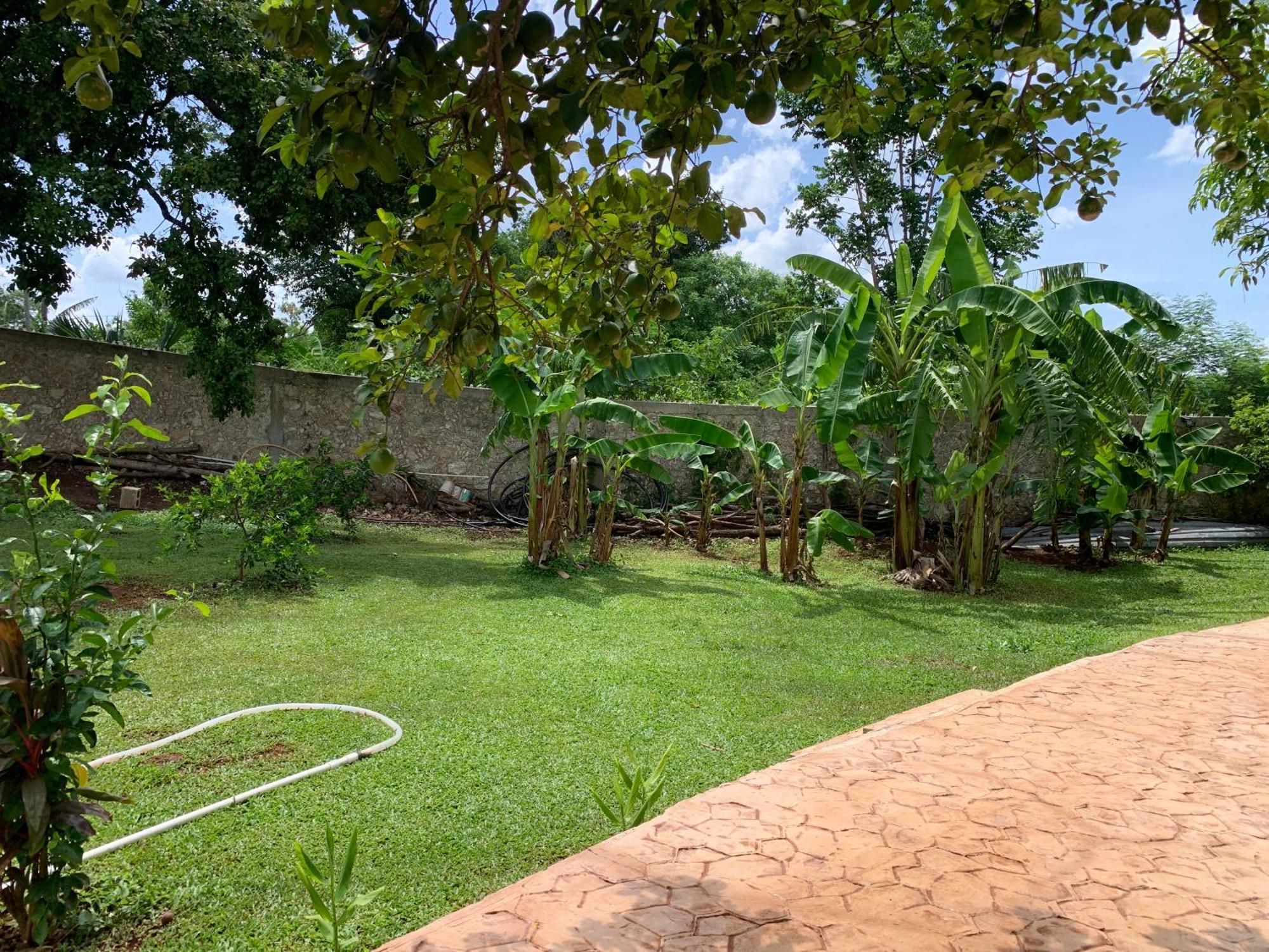 Quinta Yaaxbe Villa Homun Bagian luar foto
