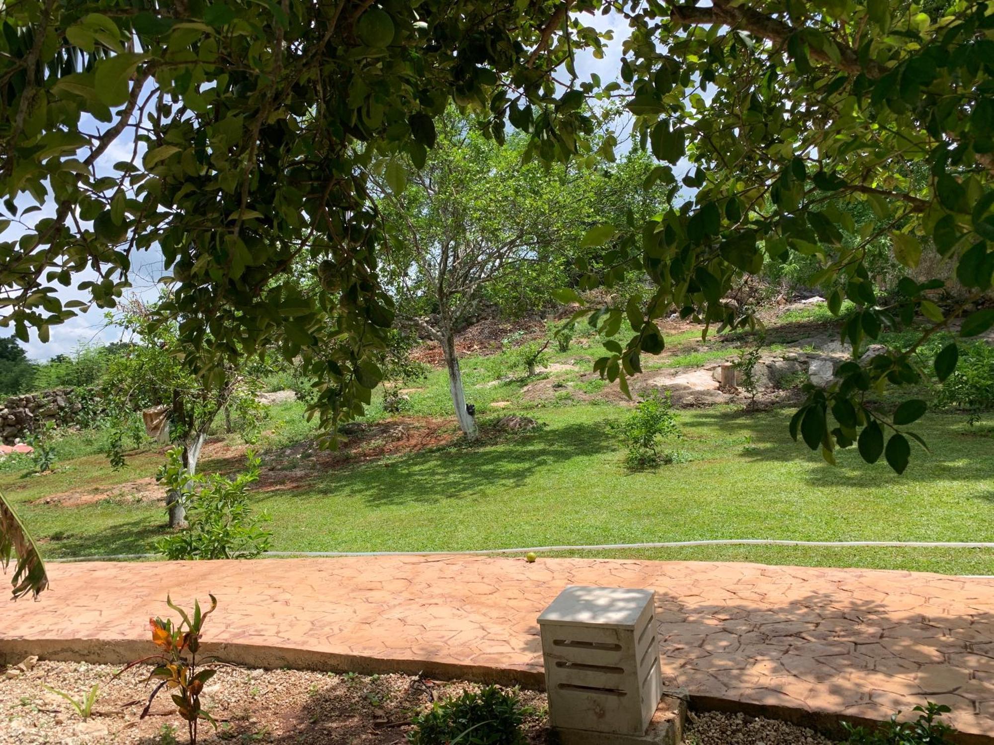 Quinta Yaaxbe Villa Homun Bagian luar foto