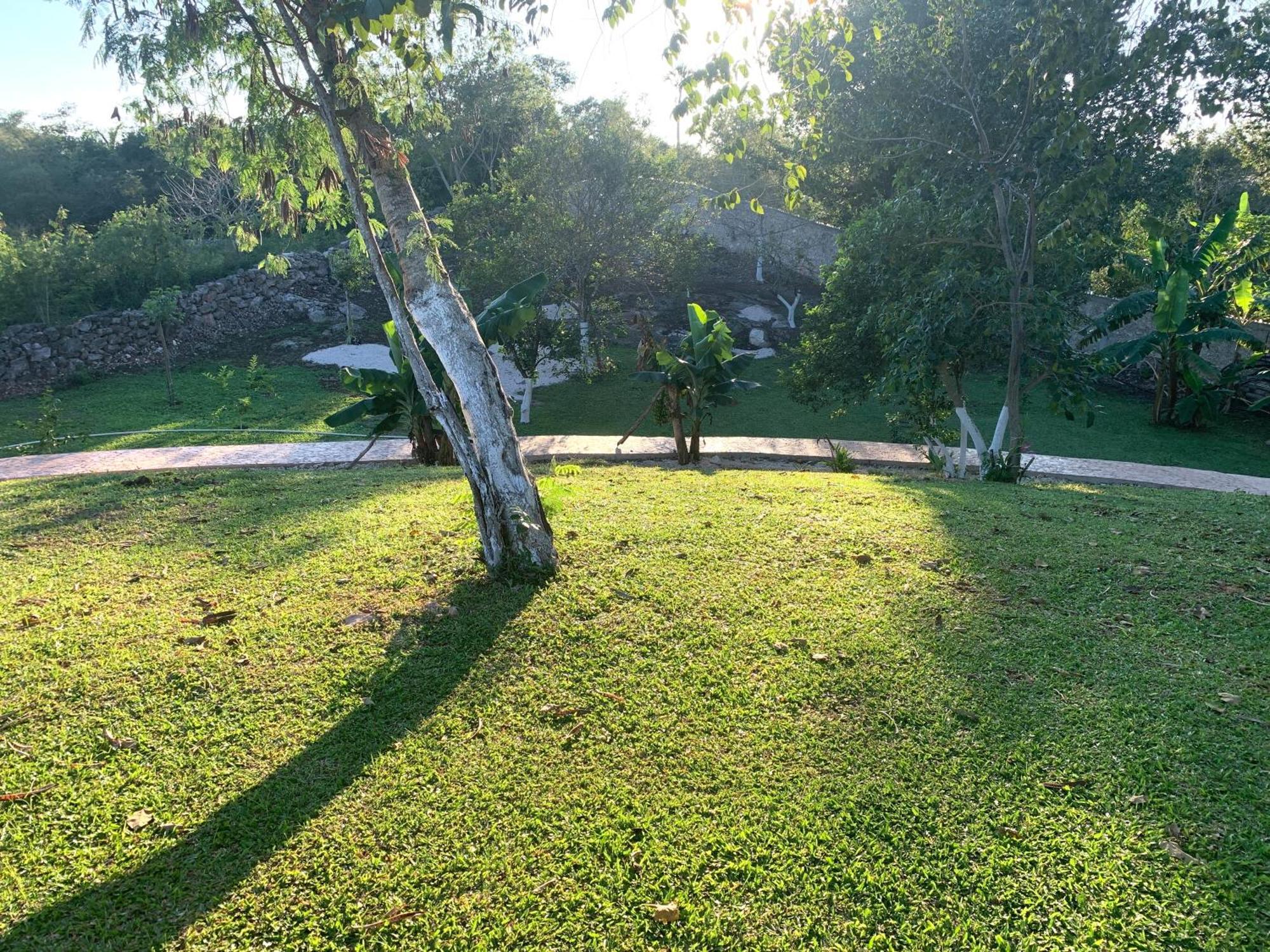Quinta Yaaxbe Villa Homun Bagian luar foto