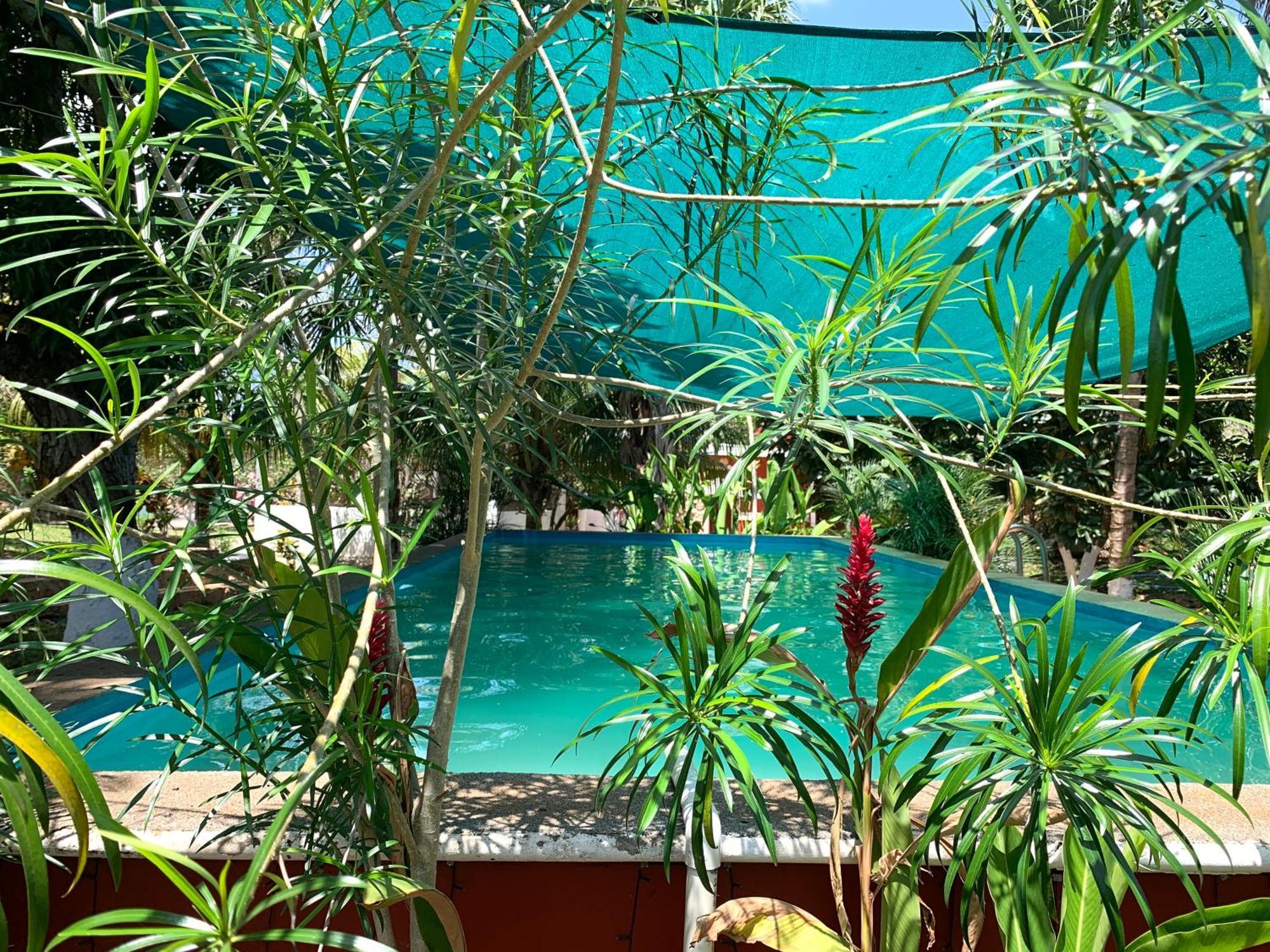 Quinta Yaaxbe Villa Homun Bagian luar foto